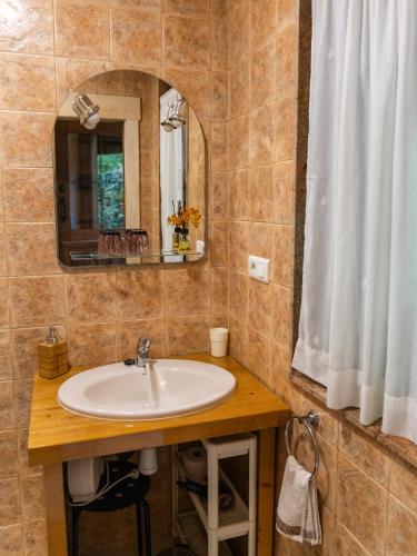 a bathroom with a sink and a mirror at Alojamiento Rural Cosorios in Cangas de Onís