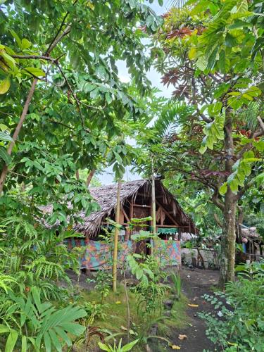 a wooden house with a thatched roof in a forest at Ash and Ocean BUNGALOW in Loméméti