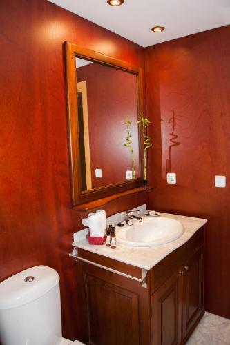 a bathroom with a sink and a toilet and a mirror at Lucero Dos Catedrales in Zaragoza
