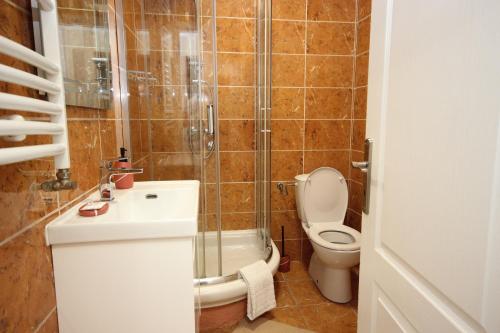 a bathroom with a toilet and a shower and a sink at Stan na dan Moonlight Panonija in Inđija