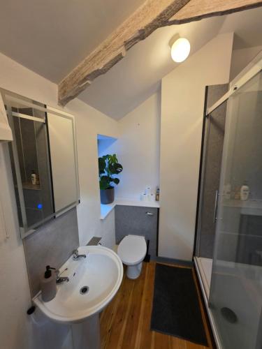 a bathroom with a sink and a toilet and a shower at Postmasters House in Helston