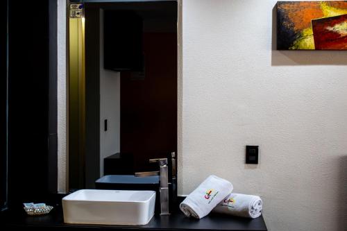Foto da galeria de Hotel Amazonas em Cidade do México