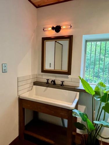 a bathroom with a sink and a mirror at The Blue Moon in Nasushiobara
