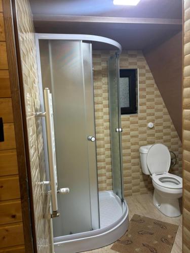a bathroom with a shower with a toilet and a staircase at Căsuțele EliMar in Chirleşti