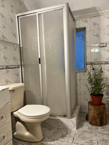 a bathroom with a shower and a toilet in it at Cochrane hostal in Los Ángeles