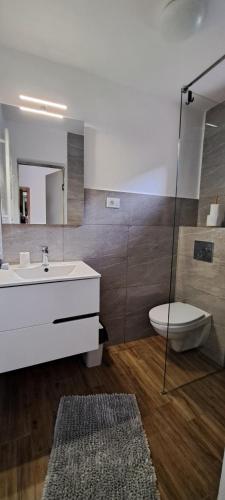 a bathroom with a sink and a toilet and a mirror at Vila Silvana in Moieciu de Jos