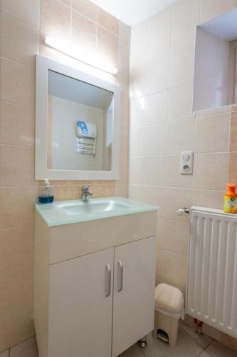 a bathroom with a white sink and a mirror at L'oustal de lucie in Saint-Saturnin-de-Tartaronne