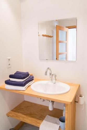 a bathroom with a sink and a mirror at Maison pierre de mercoeur in Le Malzieu-Ville