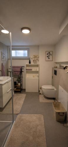 a bathroom with a toilet and a sink at Cozy Suite Kirchheim, Parkplatz, Nähe A8, Souterrain in Kirchheim unter Teck