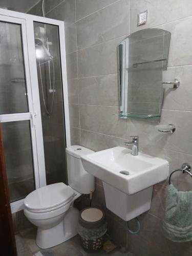 a bathroom with a toilet and a sink and a shower at Natako Apartments in Apenkwa