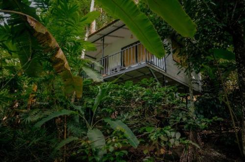 a building with a balcony in the middle of plants at Deep Villa in Batheri