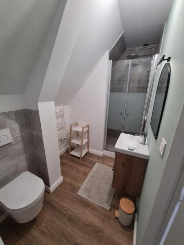 a bathroom with a toilet and a sink and a shower at Au pré de Mimi in Lalande-en-Son