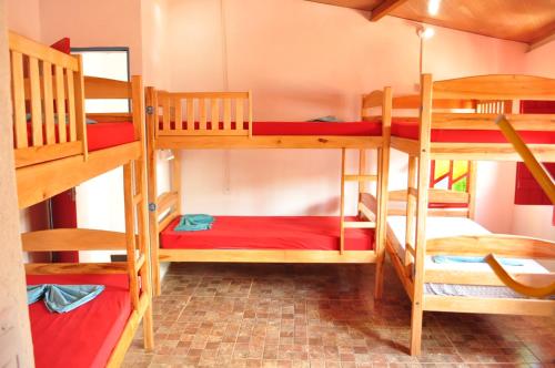 Двох'ярусне ліжко або двоярусні ліжка в номері Viela Hostel