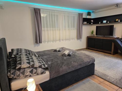 a bedroom with a bed and a flat screen tv at Holiday Apartman in Kecskemét