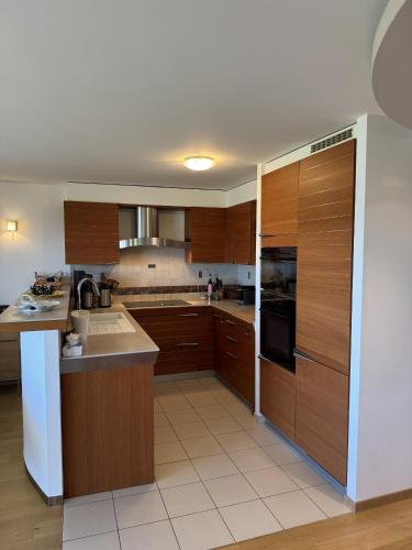 Domaine des Alpes 1 appartement au centre d Anzere
