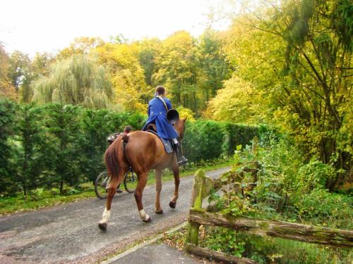 a man riding a horse down a road at Le jardin de Saint Jean in Saint-Jean-aux-Bois