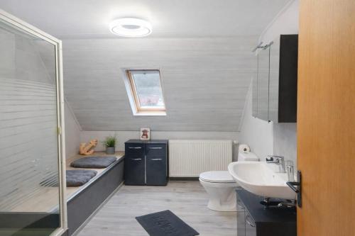 a bathroom with a shower and a toilet and a sink at Hebels Auszeit in Heimbach