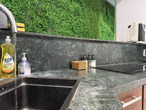 a kitchen with a sink and a green wall at KEYDEO House in Phan Thiet