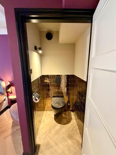 a bathroom with a toilet in a room at BNB de Victorie Alkmaar in Alkmaar