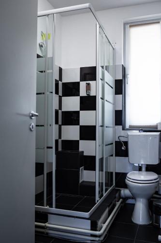 a bathroom with a glass shower with a toilet at Complex Turistic Suatu in Suatul