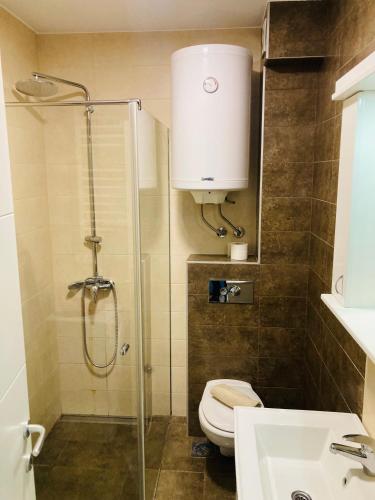 a bathroom with a shower and a toilet and a sink at Apartman 4 you 4 in Belgrade