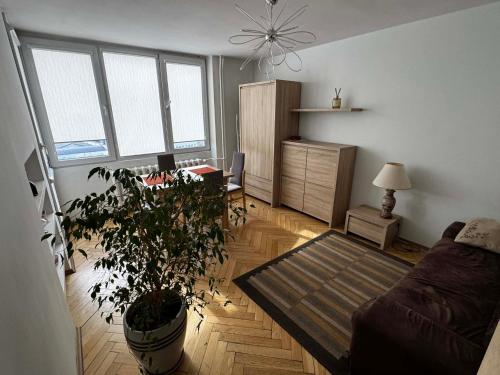 Apartment close to the center