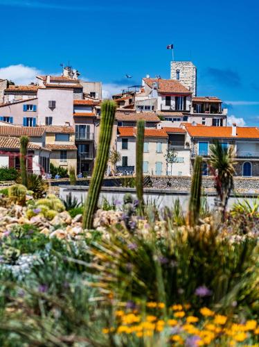 Le Coeur de la Vieille Ville Antibes la plage le port la gare à deux pas