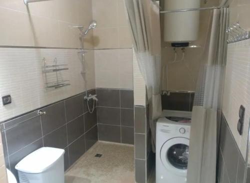 a small bathroom with a washing machine and a toilet at Apartment Centre Hamria in Meknès