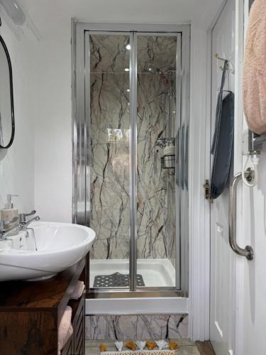 a bathroom with a shower and a sink at Woodland Chalet at Otters Green in Botley