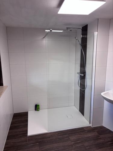 a shower stall in a bathroom with a sink at Haus Abendsonne in Bad Schandau