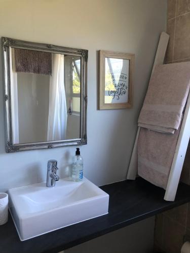 a bathroom with a white sink and a mirror at Plett Pods - Casetta del Fuoco - Eco Container Cottage in Plettenberg Bay