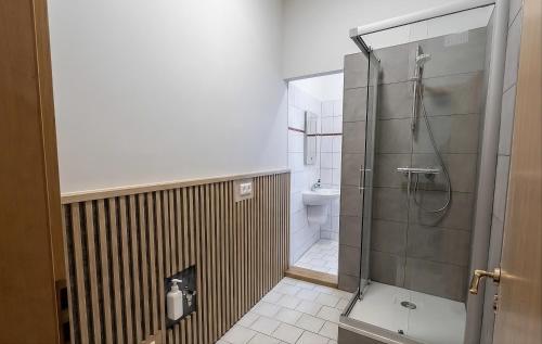 a bathroom with a shower and a toilet at Fürstenhof Belle Etage Altstadt- Parkplatz im Innenhof in Wismar