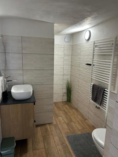 a bathroom with a sink and a toilet and a shower at Apartment nad Metují in Teplice nad Metují