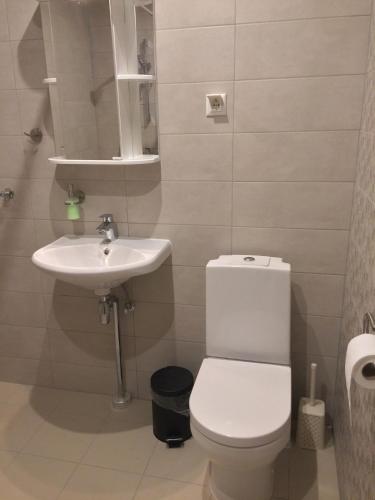 Bilik mandi di Fortuuna 5 Apartment