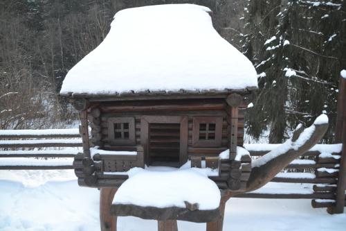 a bird house covered in snow in a yard at Smerekova Hata in Yablunytsya