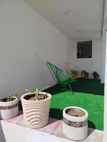 four potted plants sitting on a table in a room at Casa San Rafael in Oaxaca City