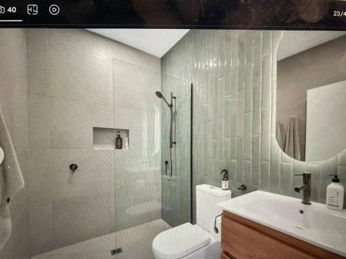 a bathroom with a shower and a toilet and a sink at The Batch in Oamaru