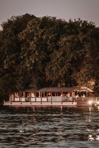 a boat on the water in front of a large tree at Chobe House Villa and Chalets in Kasane