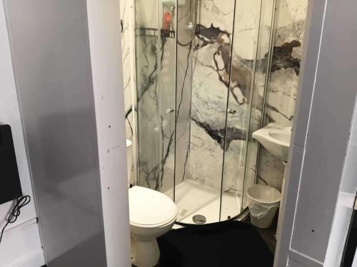 a small bathroom with a toilet and a sink at Sleeps 2 - Parking - Wifi in Oldbury