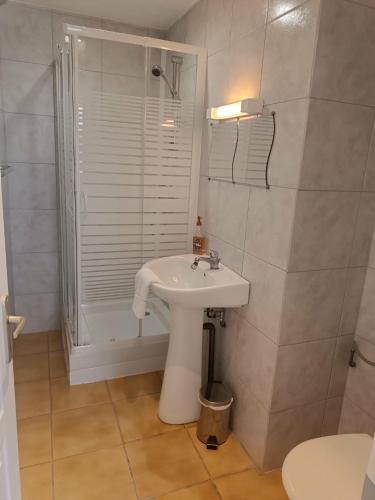 ein weißes Badezimmer mit Waschbecken und Dusche in der Unterkunft Hotel du Centre in Châlus