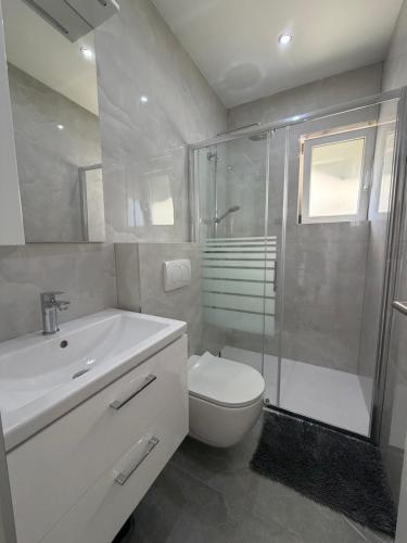 a bathroom with a toilet and a shower and a sink at Apartments Milica in Mirce