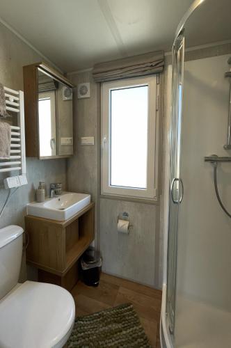 a bathroom with a toilet and a sink and a shower at Tinyhaushotel - Campingpark Nabburg in Nabburg