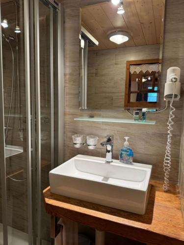 a bathroom with a sink and a shower at Hotel Altels in Kandergrund