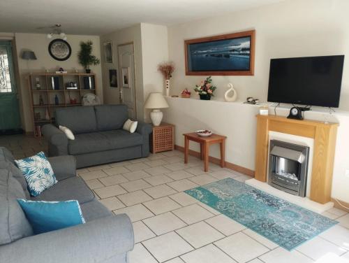 a living room with a couch and a fireplace at 4 étoiles spacieux Gîte centre-ville, terrasse ensoleillée, parking et Wi-Fi in Magnac-Laval