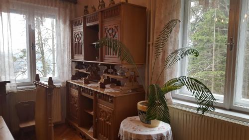 a room with a potted plant sitting on a table at Sovica in Bled