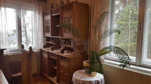 um quarto com um vaso de plantas sentado numa mesa em Sovica em Bled