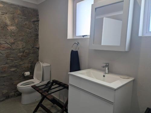a bathroom with a sink and a toilet and a window at Potjesberg Lodge in Laudina