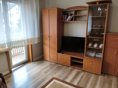 a living room with a tv and a entertainment center at Apartament Przy Puszczy Białowieskiej in Hajnówka