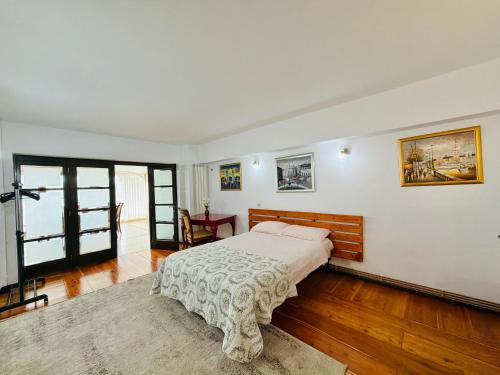 a bedroom with a bed in a room at Spacious Apartment in City Centre in Iaşi