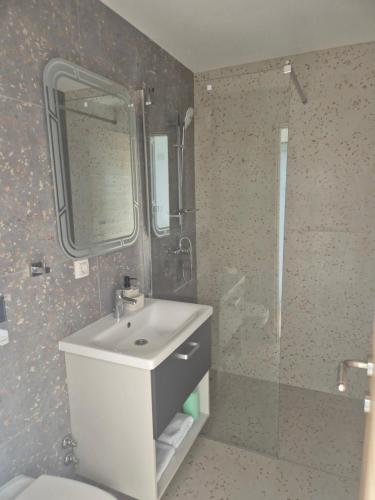 a bathroom with a white sink and a shower at Gonik NN Apartmani in Veliko Gradište
